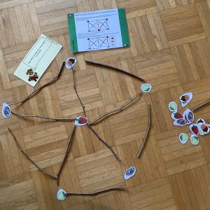 Informatik Biber - Graph Karten